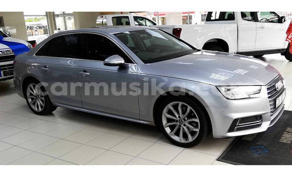 Tenga Tsaru Audi A4 Sirivha Mota in Beitbridge in Matabeleland South Tenga Tsaru Audi A4 Sirivha Mota in Beitbridge in Matabeleland South