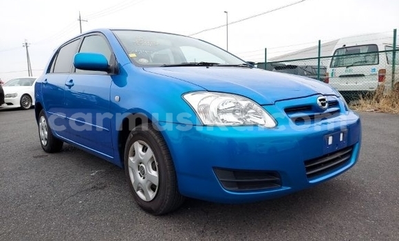 Acheter Occasion Voiture Toyota Runx Bleu à Beitbridge, Matabeleland South Acheter Occasion Voiture Toyota Runx Bleu à Beitbridge, Matabeleland South