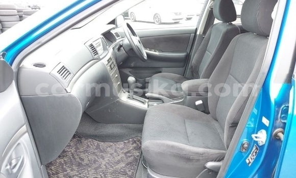 Acheter Occasion Voiture Toyota Runx Bleu à Beitbridge, Matabeleland South Acheter Occasion Voiture Toyota Runx Bleu à Beitbridge, Matabeleland South