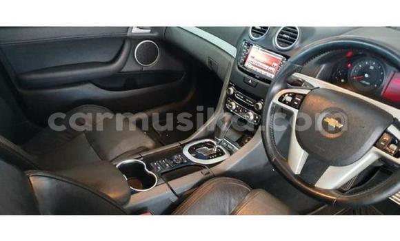 Tenga Tsaru Chevrolet Lumina Bhuruu Mota in Beitbridge in Matabeleland South Tenga Tsaru Chevrolet Lumina Bhuruu Mota in Beitbridge in Matabeleland South