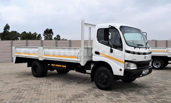 Tenga Tsaru Toyota Dyna Chena Mota in Beitbridge in Matabeleland South