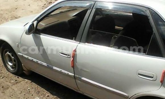 Tenga Tsaru Toyota Corolla Sirivha Mota in Alexandra Park in Harare Tenga Tsaru Toyota Corolla Sirivha Mota in Alexandra Park in Harare