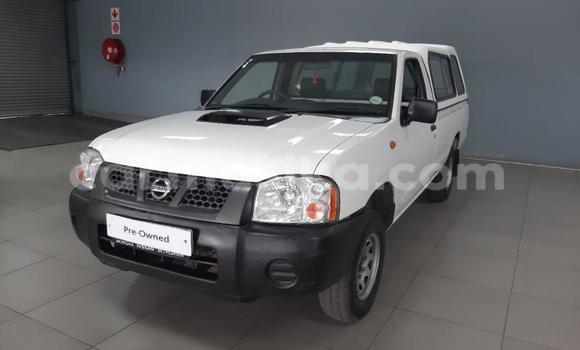 Buy Used Nissan NP 300 White Car in Beitbridge in Matabeleland South Buy Used Nissan NP 300 White Car in Beitbridge in Matabeleland South