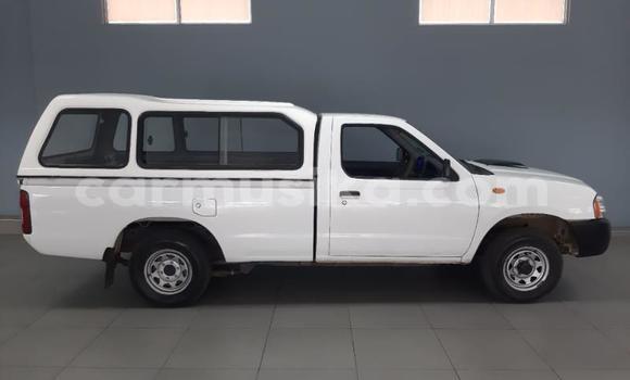 Buy Used Nissan NP 300 White Car in Beitbridge in Matabeleland South Buy Used Nissan NP 300 White Car in Beitbridge in Matabeleland South