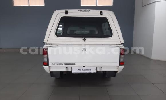 Buy Used Nissan NP 300 White Car in Beitbridge in Matabeleland South Buy Used Nissan NP 300 White Car in Beitbridge in Matabeleland South