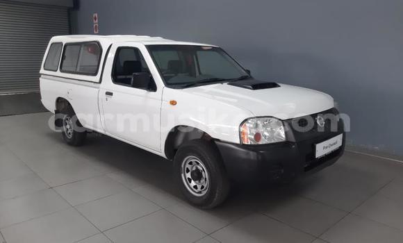 Buy Used Nissan NP 300 White Car in Beitbridge in Matabeleland South Buy Used Nissan NP 300 White Car in Beitbridge in Matabeleland South