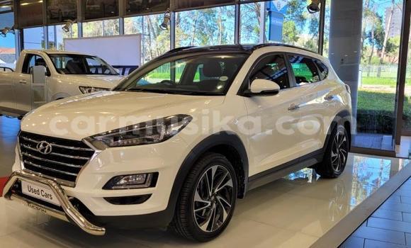 Acheter Occasion Voiture Hyundai Tucson Blanc à Beitbridge, Matabeleland South Acheter Occasion Voiture Hyundai Tucson Blanc à Beitbridge, Matabeleland South