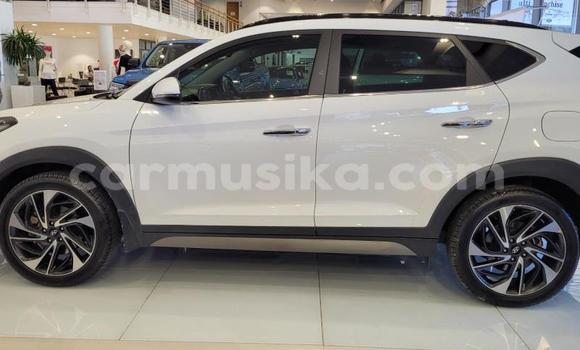 Acheter Occasion Voiture Hyundai Tucson Blanc à Beitbridge, Matabeleland South Acheter Occasion Voiture Hyundai Tucson Blanc à Beitbridge, Matabeleland South