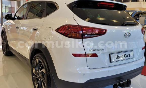 Acheter Occasion Voiture Hyundai Tucson Blanc à Beitbridge, Matabeleland South Acheter Occasion Voiture Hyundai Tucson Blanc à Beitbridge, Matabeleland South