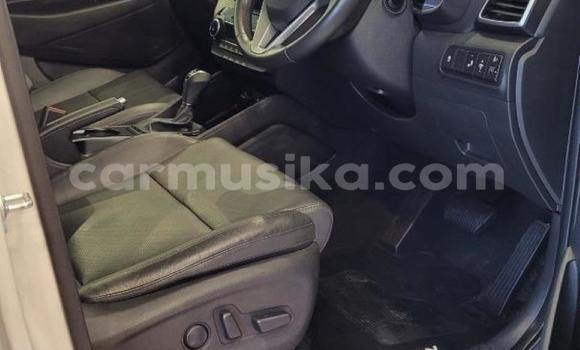 Acheter Occasion Voiture Hyundai Tucson Blanc à Beitbridge, Matabeleland South Acheter Occasion Voiture Hyundai Tucson Blanc à Beitbridge, Matabeleland South