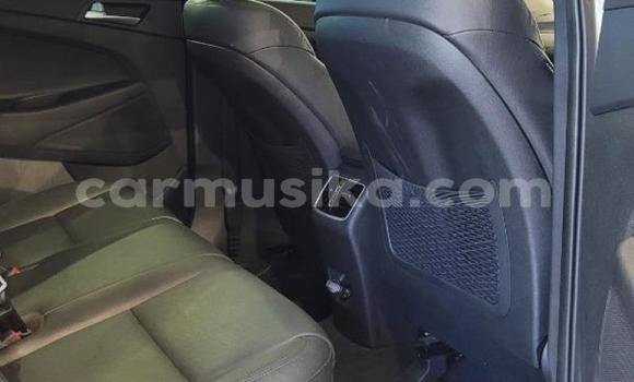 Acheter Occasion Voiture Hyundai Tucson Blanc à Beitbridge, Matabeleland South Acheter Occasion Voiture Hyundai Tucson Blanc à Beitbridge, Matabeleland South