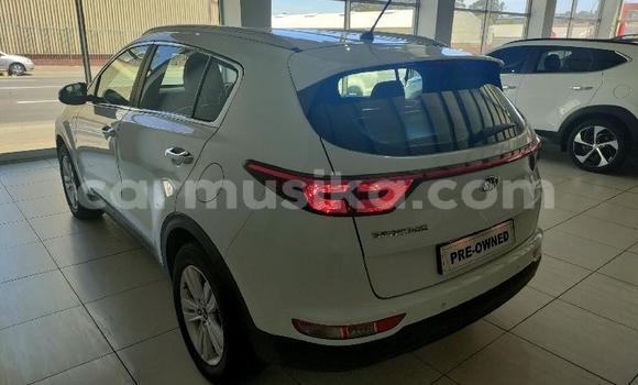 Tenga Tsaru Kia Sportage Chena Mota in Beitbridge in Matabeleland South Tenga Tsaru Kia Sportage Chena Mota in Beitbridge in Matabeleland South