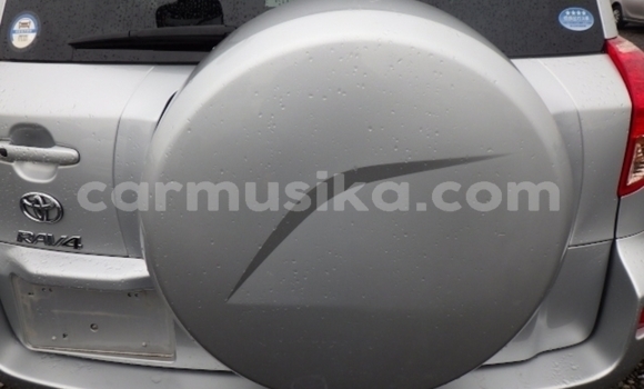 Acheter Occasion Voiture Toyota RAV4 Gris à Beitbridge, Matabeleland South Acheter Occasion Voiture Toyota RAV4 Gris à Beitbridge, Matabeleland South