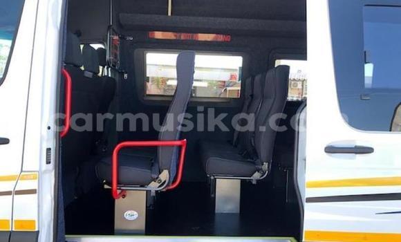 Tenga Tsaru Mercedes‒Benz S–Class Chena Mota in Beitbridge in Matabeleland South Tenga Tsaru Mercedes‒Benz S–Class Chena Mota in Beitbridge in Matabeleland South