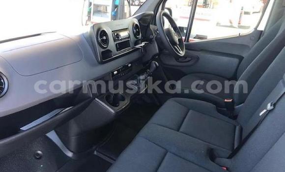 Tenga Tsaru Mercedes‒Benz S–Class Chena Mota in Beitbridge in Matabeleland South Tenga Tsaru Mercedes‒Benz S–Class Chena Mota in Beitbridge in Matabeleland South