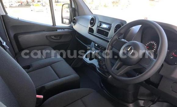 Tenga Tsaru Mercedes‒Benz S–Class Chena Mota in Beitbridge in Matabeleland South Tenga Tsaru Mercedes‒Benz S–Class Chena Mota in Beitbridge in Matabeleland South