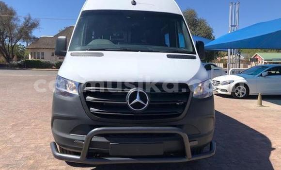 Tenga Tsaru Mercedes‒Benz S–Class Chena Mota in Beitbridge in Matabeleland South Tenga Tsaru Mercedes‒Benz S–Class Chena Mota in Beitbridge in Matabeleland South
