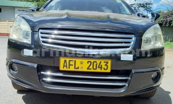 Buy New Nissan Dualis Black Car in Harare in Harare Buy New Nissan Dualis Black Car in Harare in Harare