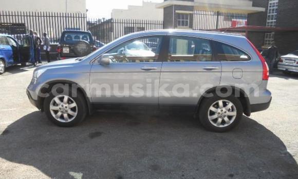 Acheter Occasion Voiture Honda CR–V Bleu à Beitbridge, Matabeleland South Acheter Occasion Voiture Honda CR–V Bleu à Beitbridge, Matabeleland South