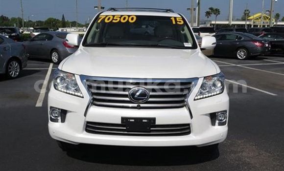Buy Used Lexus LX 570 White Car in Avondale in Harare Buy Used Lexus LX 570 White Car in Avondale in Harare