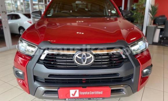 Acheter Occasion Voiture Toyota Hilux Rouge à Beitbridge, Matabeleland South Acheter Occasion Voiture Toyota Hilux Rouge à Beitbridge, Matabeleland South