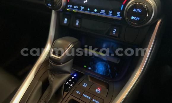 Acheter Occasion Voiture Toyota RAV4 Autre à Beitbridge, Matabeleland South Acheter Occasion Voiture Toyota RAV4 Autre à Beitbridge, Matabeleland South