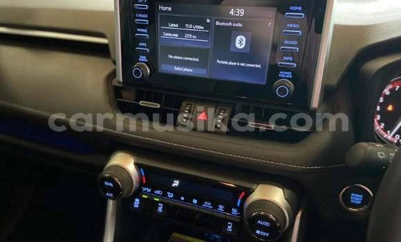 Acheter Occasion Voiture Toyota RAV4 Autre à Beitbridge, Matabeleland South Acheter Occasion Voiture Toyota RAV4 Autre à Beitbridge, Matabeleland South