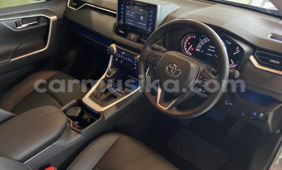 Acheter Occasion Voiture Toyota RAV4 Autre à Beitbridge, Matabeleland South Acheter Occasion Voiture Toyota RAV4 Autre à Beitbridge, Matabeleland South