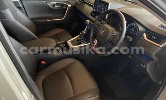 Acheter Occasion Voiture Toyota RAV4 Autre à Beitbridge, Matabeleland South Acheter Occasion Voiture Toyota RAV4 Autre à Beitbridge, Matabeleland South