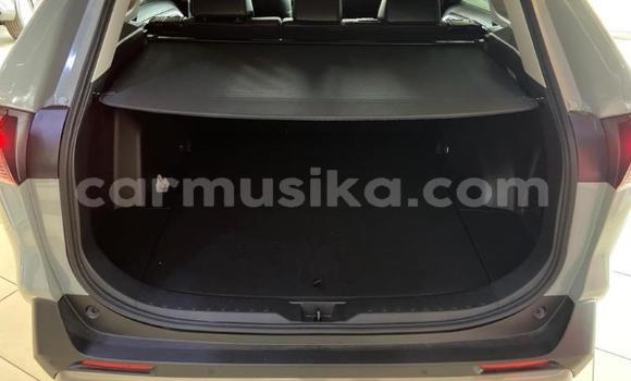 Acheter Occasion Voiture Toyota RAV4 Autre à Beitbridge, Matabeleland South Acheter Occasion Voiture Toyota RAV4 Autre à Beitbridge, Matabeleland South