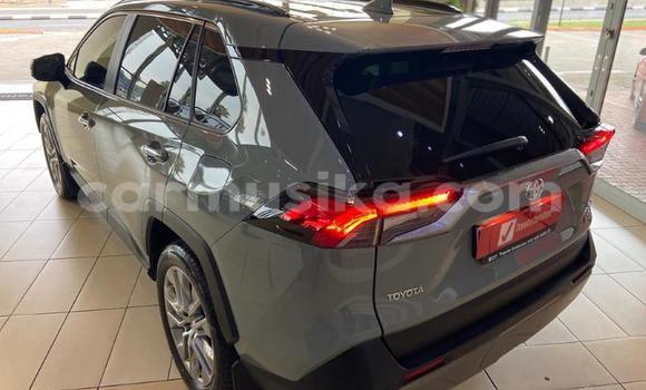Acheter Occasion Voiture Toyota RAV4 Autre à Beitbridge, Matabeleland South Acheter Occasion Voiture Toyota RAV4 Autre à Beitbridge, Matabeleland South