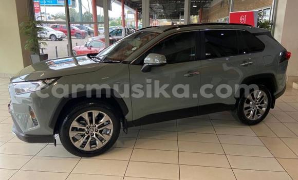 Acheter Occasion Voiture Toyota RAV4 Autre à Beitbridge, Matabeleland South Acheter Occasion Voiture Toyota RAV4 Autre à Beitbridge, Matabeleland South