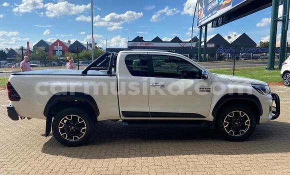 Acheter Occasion Voiture Toyota Hilux Blanc à Beitbridge, Matabeleland South Acheter Occasion Voiture Toyota Hilux Blanc à Beitbridge, Matabeleland South