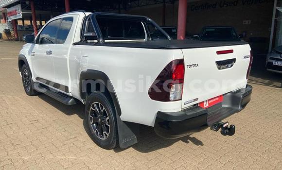 Acheter Occasion Voiture Toyota Hilux Blanc à Beitbridge, Matabeleland South Acheter Occasion Voiture Toyota Hilux Blanc à Beitbridge, Matabeleland South