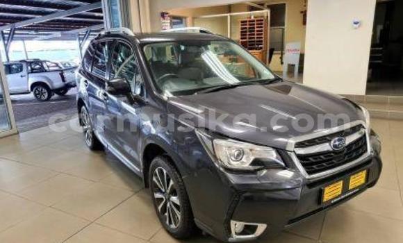 Acheter Occasion Voiture Subaru Impreza WRX Autre à Beitbridge, Matabeleland South