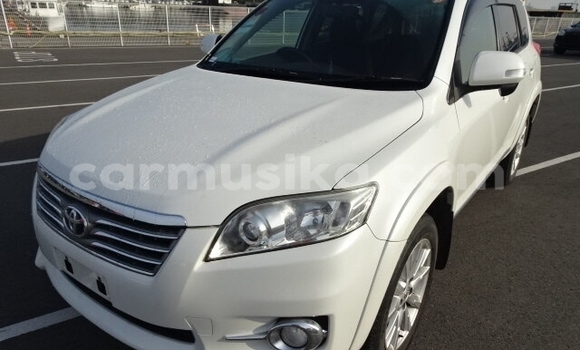 Tenga Tsaru Toyota Vanguard Chena Mota in Beitbridge in Matabeleland South