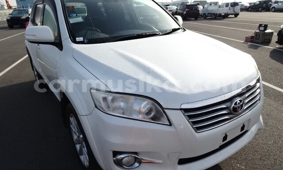 Nunua Ilio tumika Toyota Vanguard Nyeupe Gari ndani ya Beitbridge nchini Matabeleland Kusini Nunua Ilio tumika Toyota Vanguard Nyeupe Gari ndani ya Beitbridge nchini Matabeleland Kusini