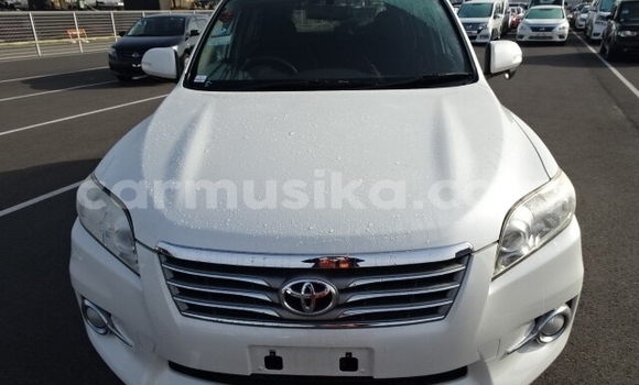 Nunua Ilio tumika Toyota Vanguard Nyeupe Gari ndani ya Beitbridge nchini Matabeleland Kusini Nunua Ilio tumika Toyota Vanguard Nyeupe Gari ndani ya Beitbridge nchini Matabeleland Kusini