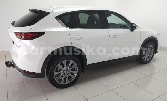 Buy Used Mazda CX-5 White Car in Beitbridge in Matabeleland South Buy Used Mazda CX-5 White Car in Beitbridge in Matabeleland South