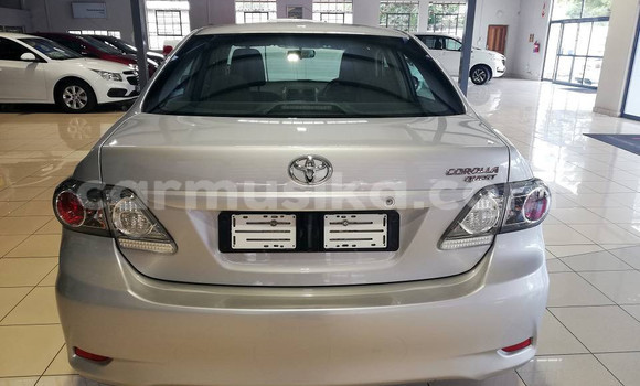 Acheter Occasion Voiture Toyota Corolla Gris à Beitbridge, Matabeleland South Acheter Occasion Voiture Toyota Corolla Gris à Beitbridge, Matabeleland South