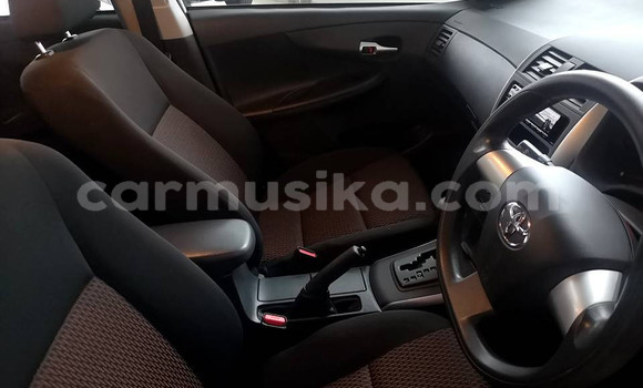 Acheter Occasion Voiture Toyota Corolla Gris à Beitbridge, Matabeleland South Acheter Occasion Voiture Toyota Corolla Gris à Beitbridge, Matabeleland South