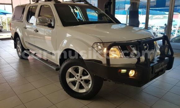 Tenga Tsaru Nissan Navara Chena Mota in Beitbridge in Matabeleland South