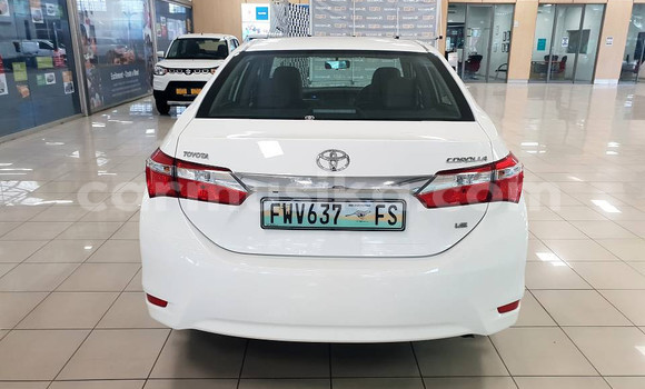 Acheter Occasion Voiture Toyota Corolla Blanc à Beitbridge, Matabeleland South Acheter Occasion Voiture Toyota Corolla Blanc à Beitbridge, Matabeleland South