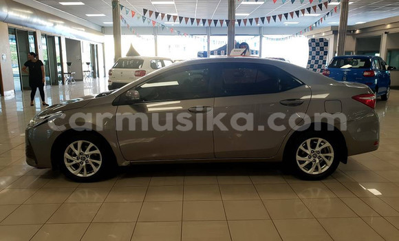 Acheter Occasion Voiture Toyota Corolla Gris à Beitbridge, Matabeleland South Acheter Occasion Voiture Toyota Corolla Gris à Beitbridge, Matabeleland South