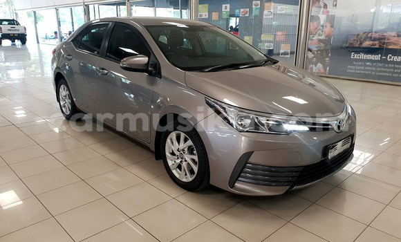 Acheter Occasion Voiture Toyota Corolla Gris à Beitbridge, Matabeleland South Acheter Occasion Voiture Toyota Corolla Gris à Beitbridge, Matabeleland South