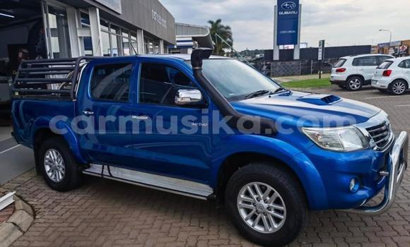 Tenga Tsaru Toyota Hilux Bhuruu Mota in Beitbridge in Matabeleland South