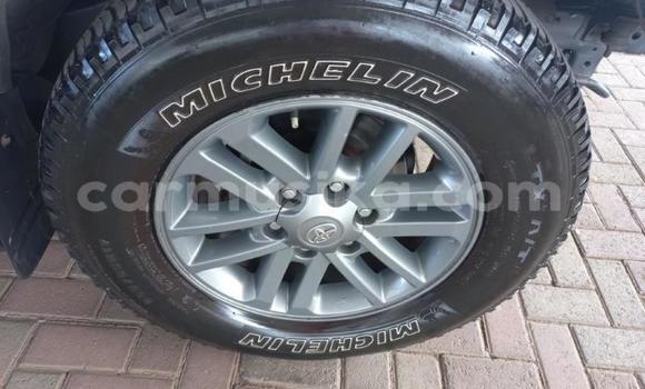 Acheter Occasion Voiture Toyota Hilux Blanc à Beitbridge, Matabeleland South Acheter Occasion Voiture Toyota Hilux Blanc à Beitbridge, Matabeleland South