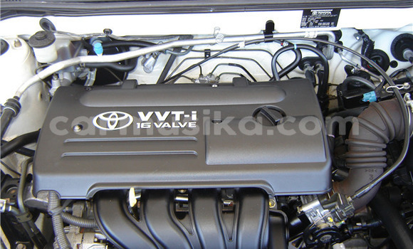 Acheter Occasion Voiture Toyota Runx Blanc à Beitbridge, Matabeleland South Acheter Occasion Voiture Toyota Runx Blanc à Beitbridge, Matabeleland South