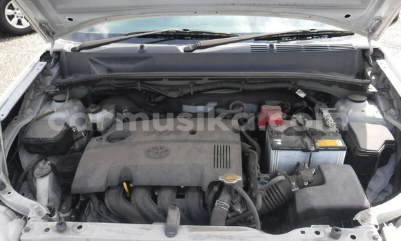 Buy Used Toyota Probox White Car in Beitbridge in Matabeleland South Buy Used Toyota Probox White Car in Beitbridge in Matabeleland South