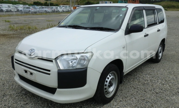 Buy Used Toyota Probox White Car in Beitbridge in Matabeleland South